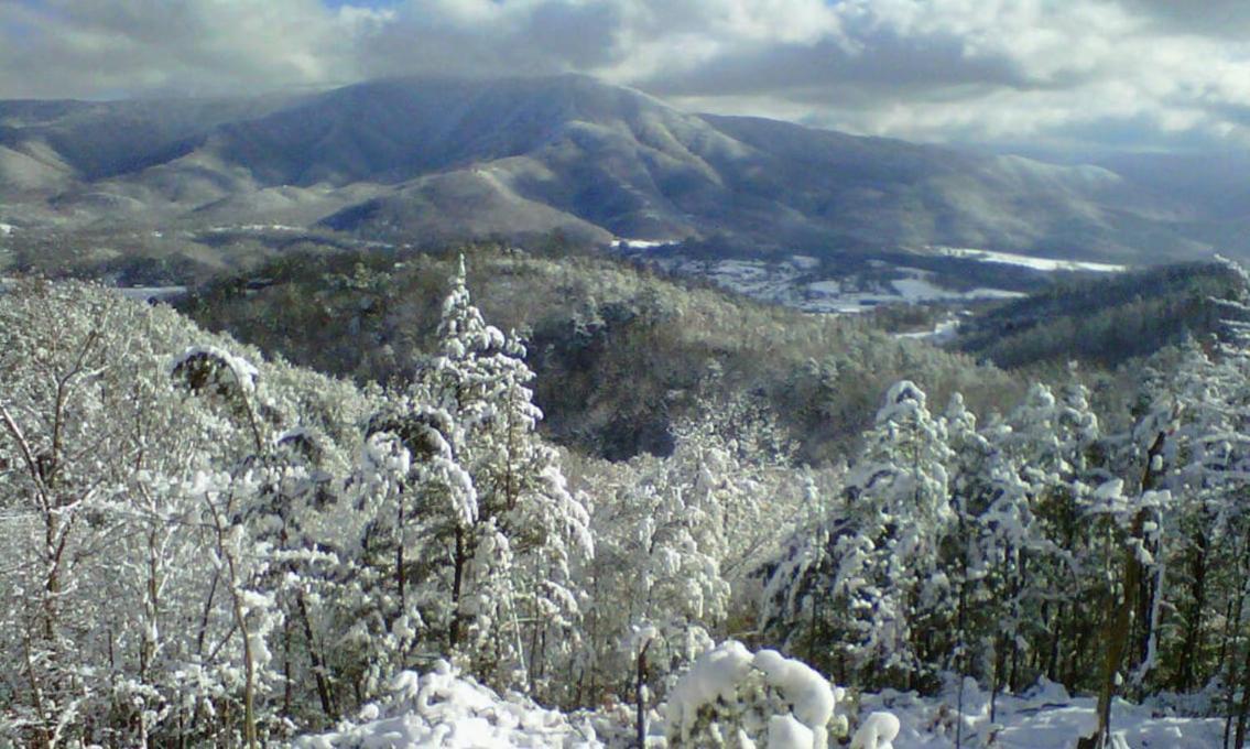 Jacksons Cabin เซอเวียร์วีล ภายนอก รูปภาพ